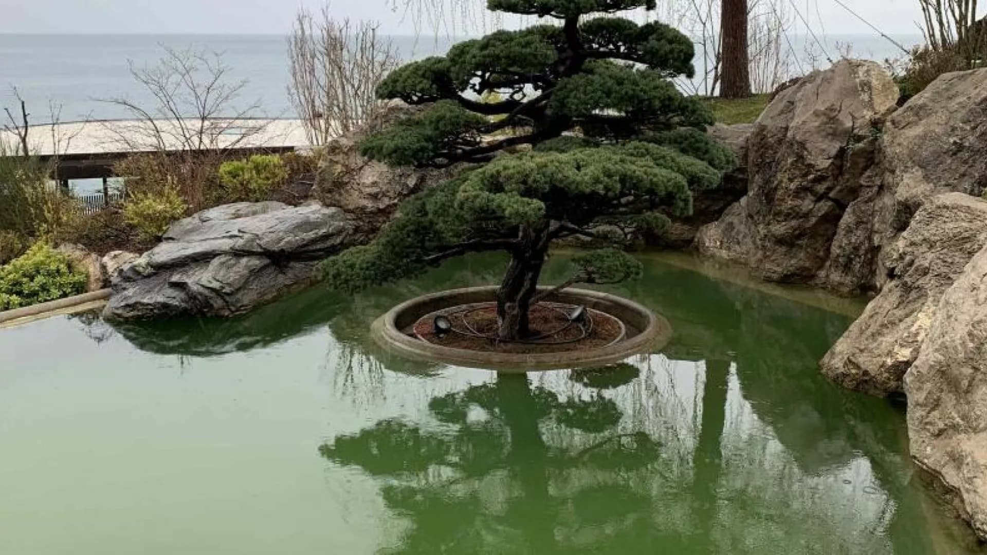 Изображение услуги0