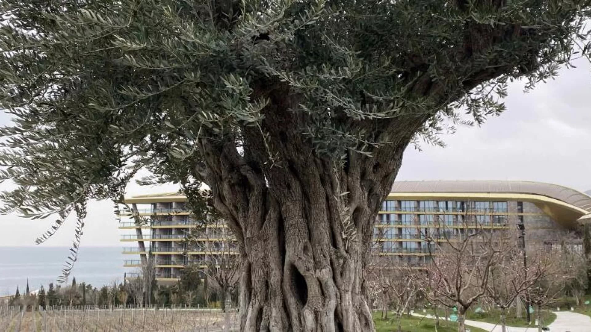 Изображение услуги5