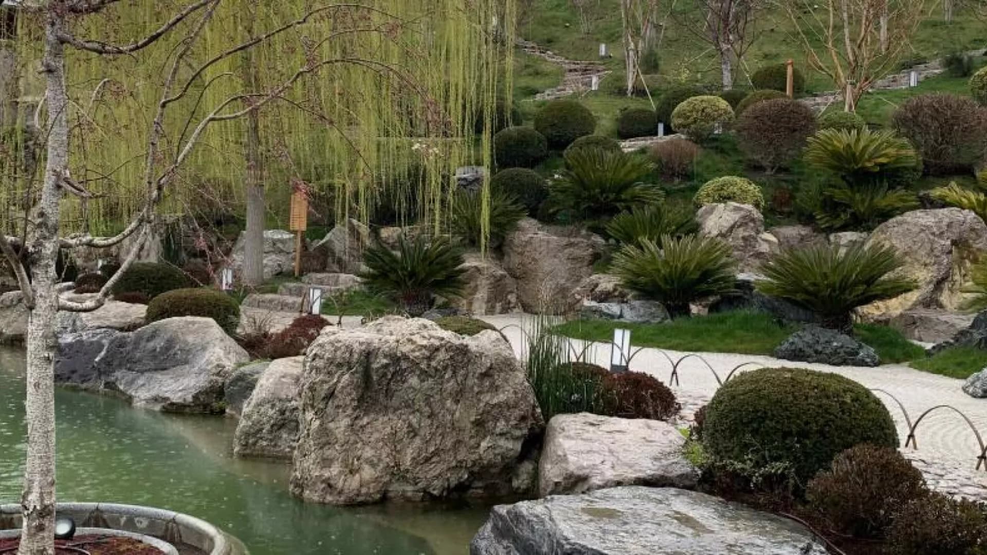 Изображение услуги6