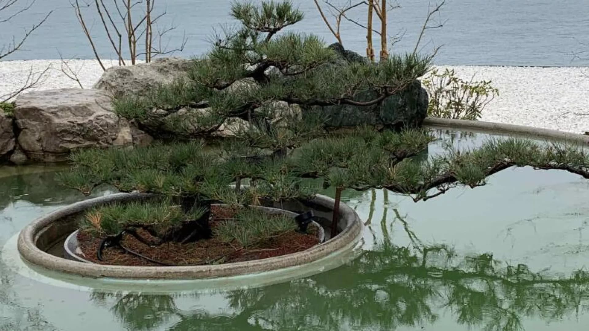 Изображение услуги7