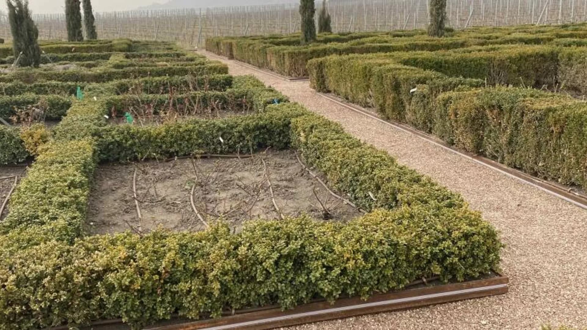 Изображение услуги10