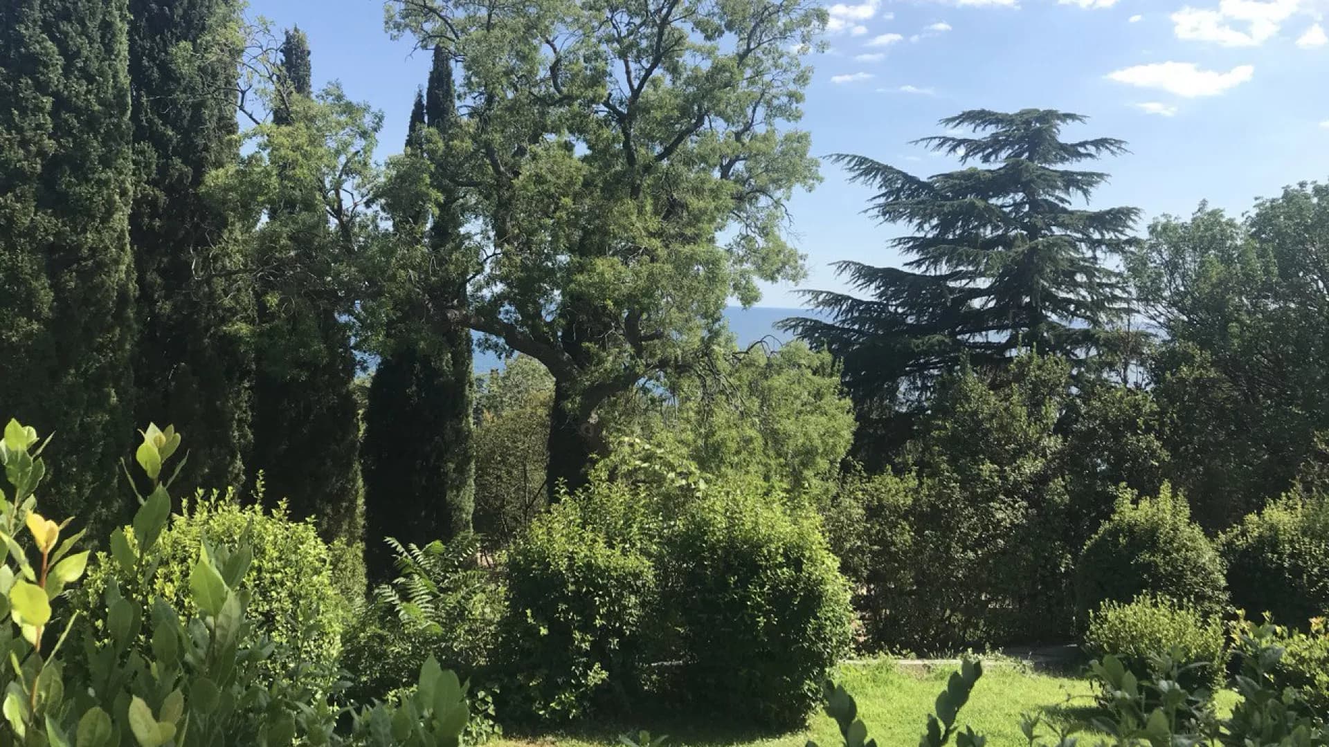 Изображение услуги2