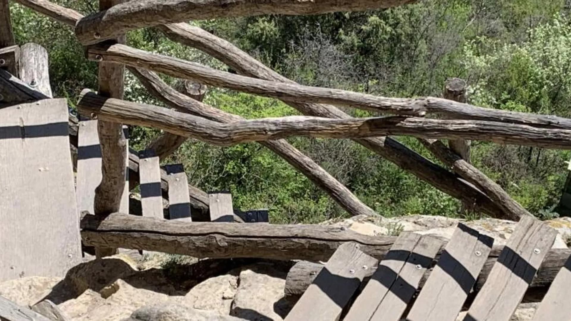 Изображение услуги3