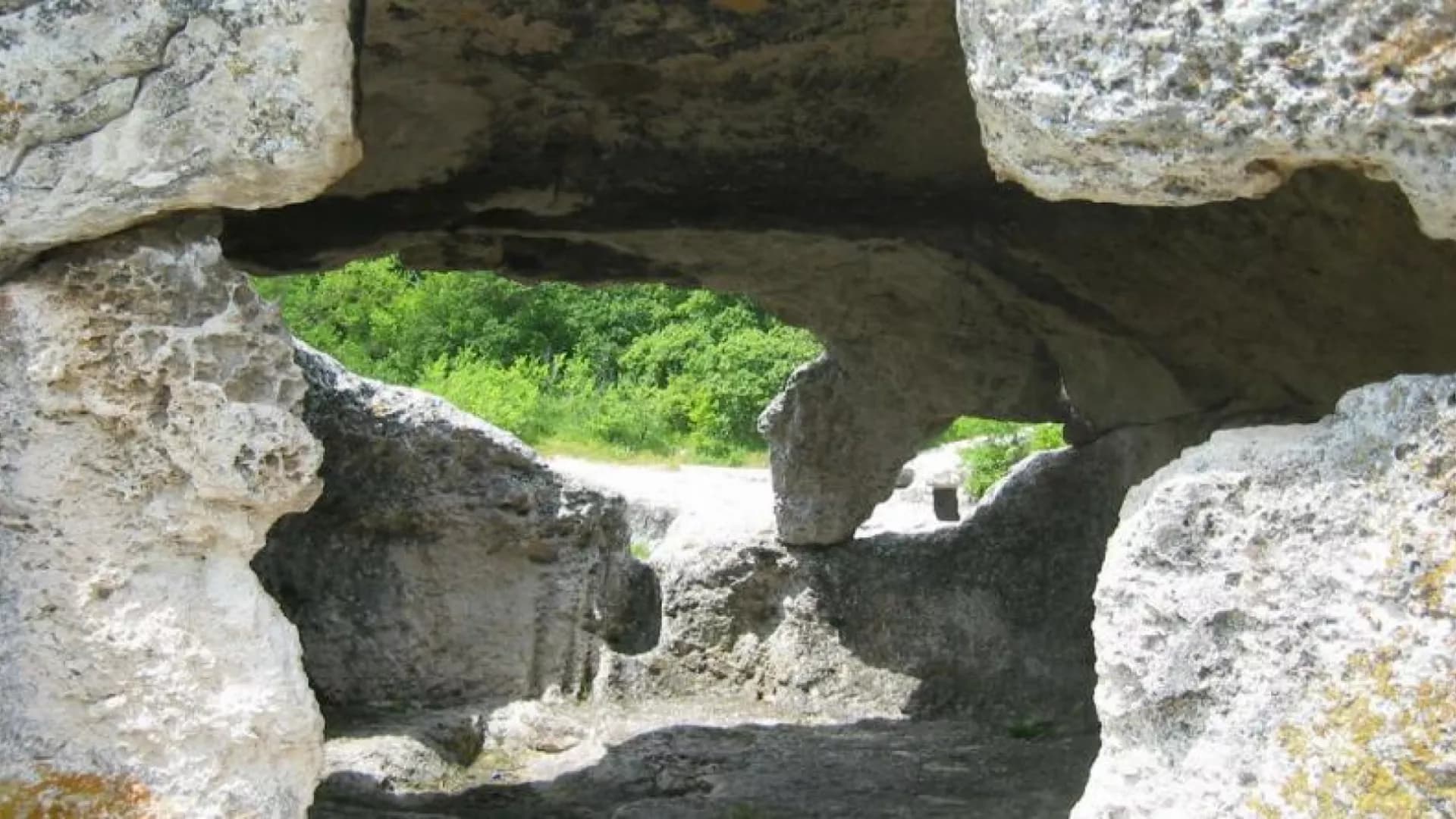 Изображение услуги4