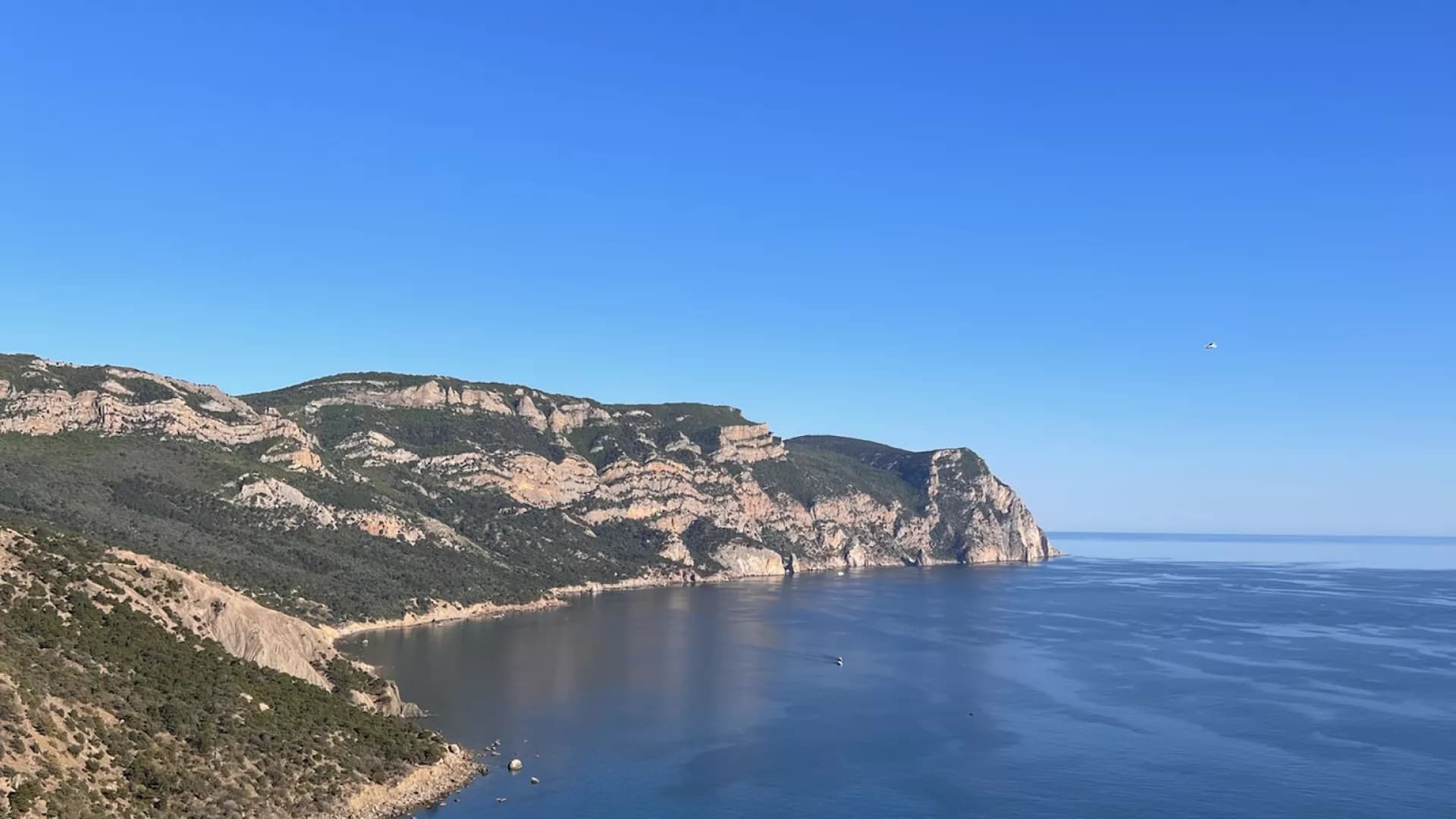 Изображение услуги3