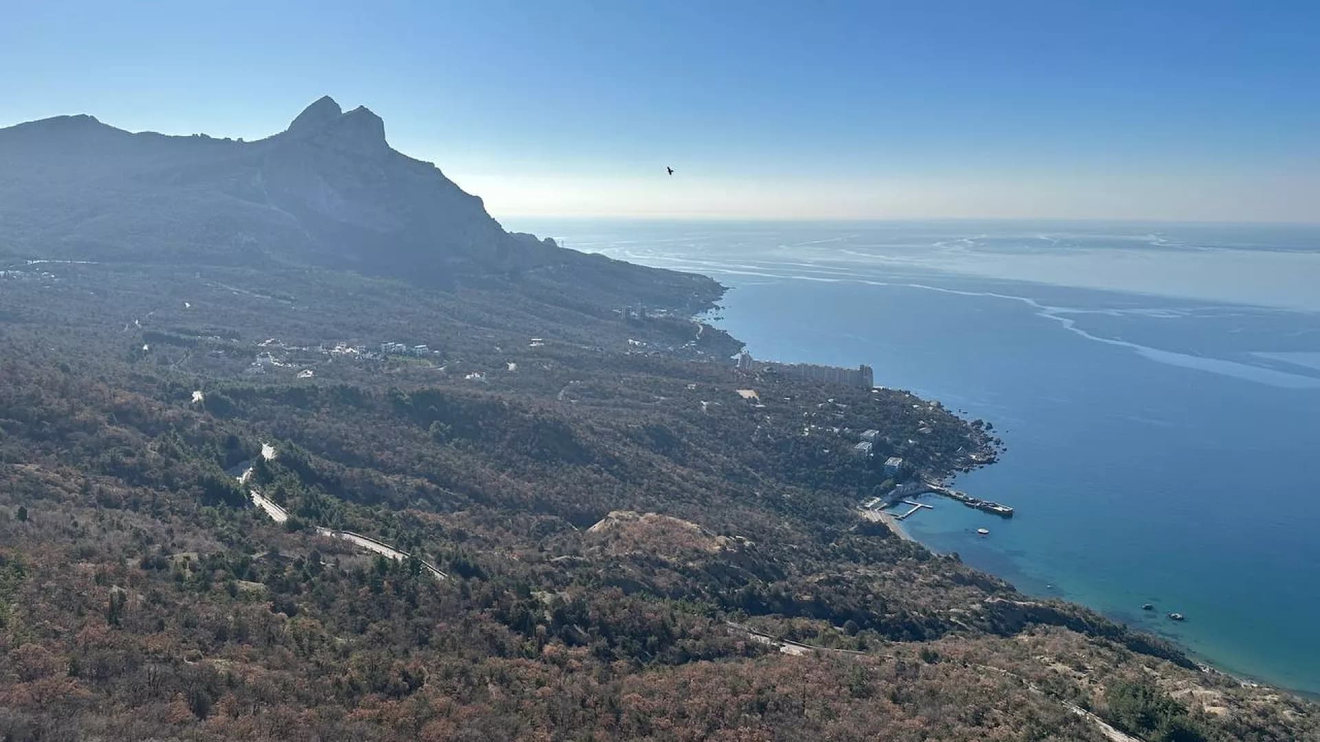 Изображение услуги4