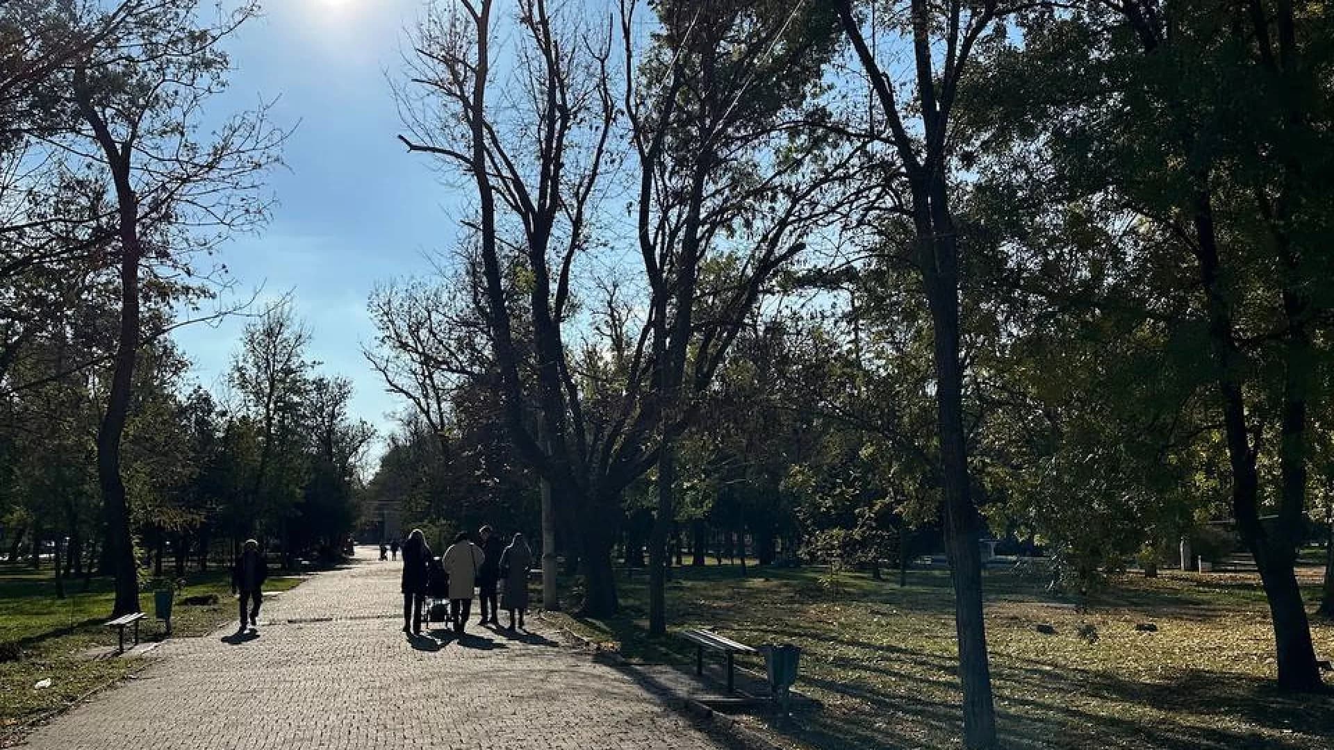 Изображение услуги4