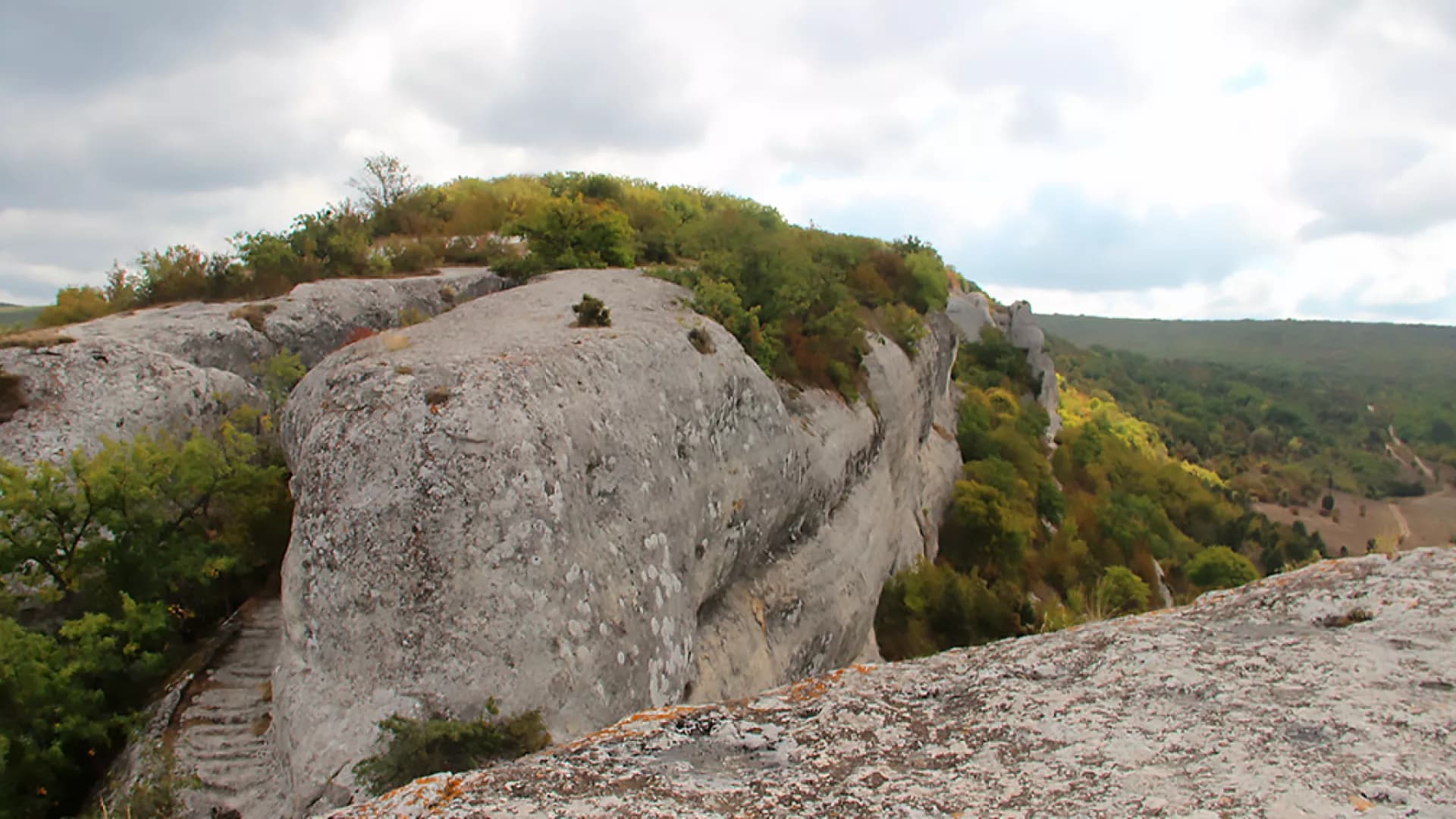 Изображение услуги3