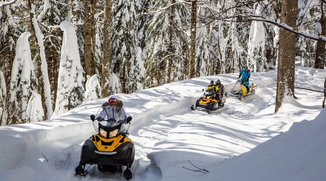 Изображение услуги1