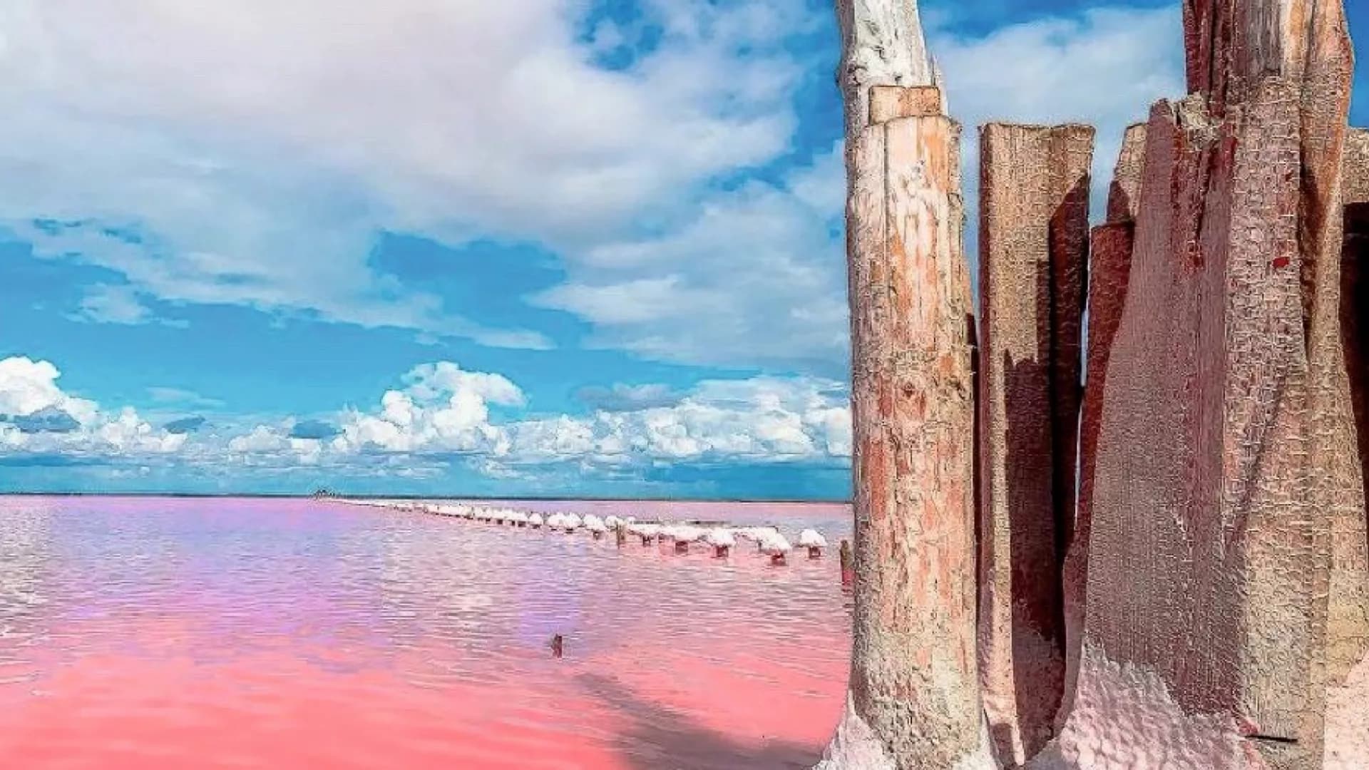 Три Уникальных Озера Крыма: Лебединое, Сакское, Розовое - Экскурсия из Евпатории