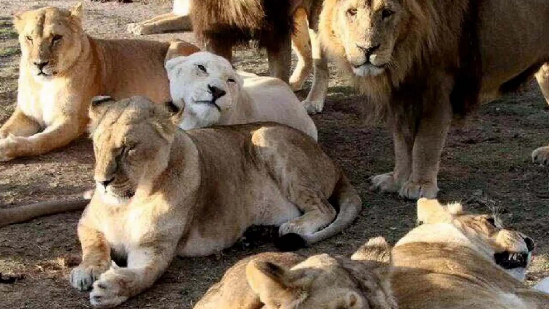 Изображение услуги0