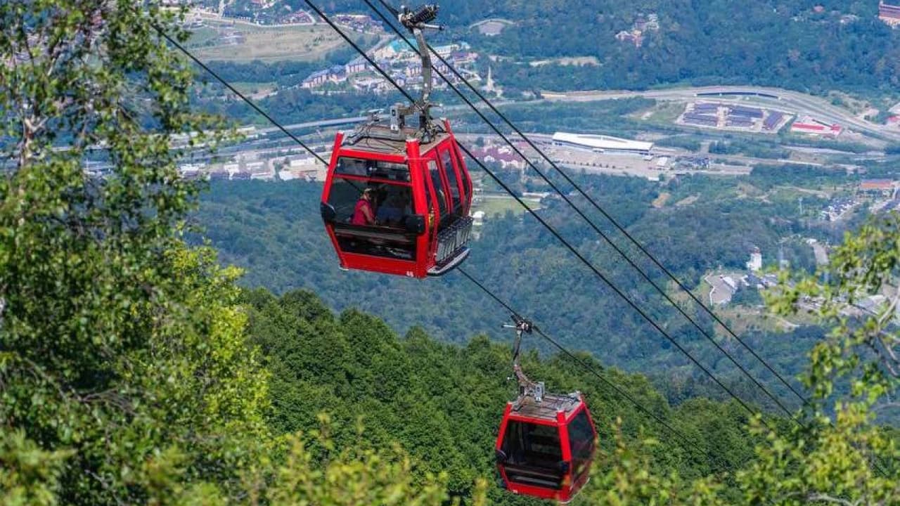 Изображение услуги4