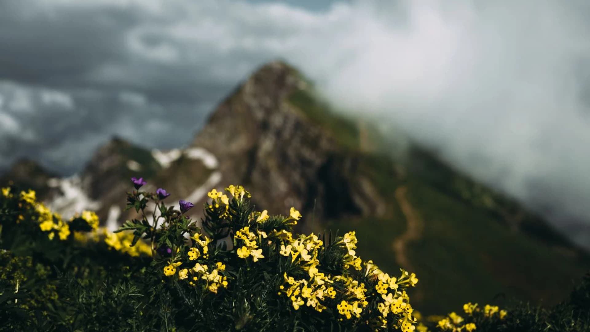 Изображение услуги6