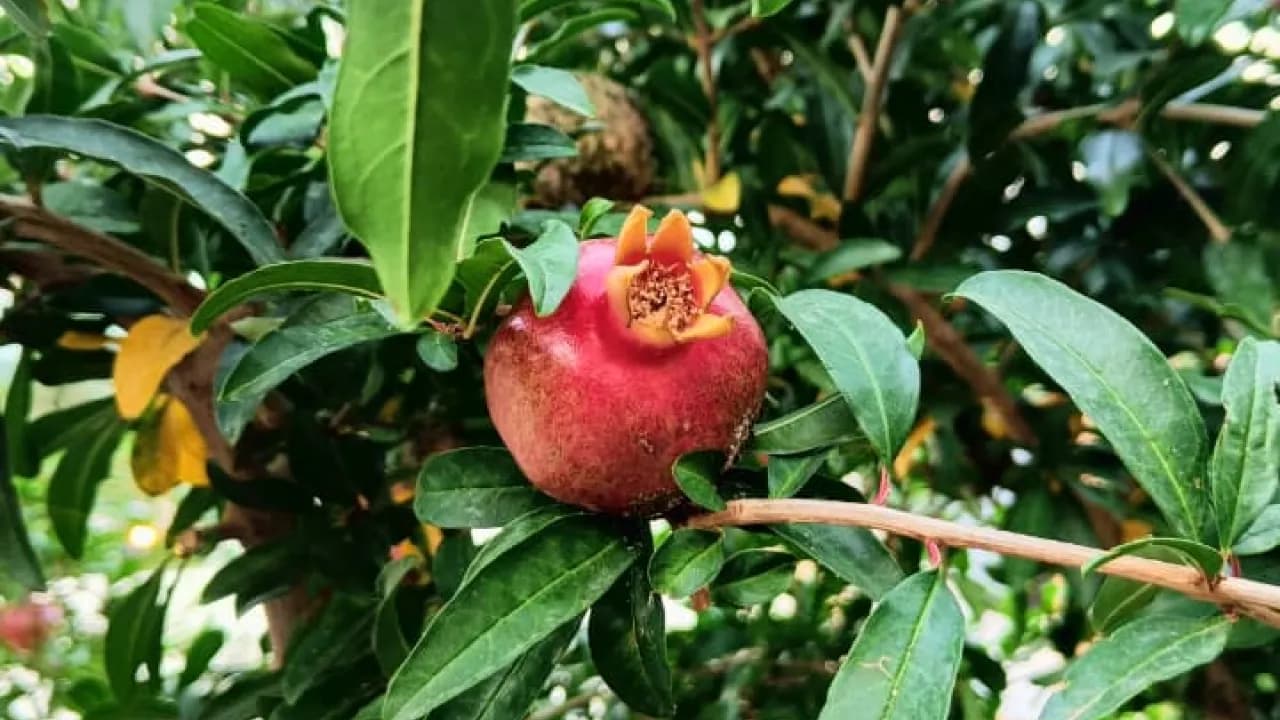 Изображение услуги14