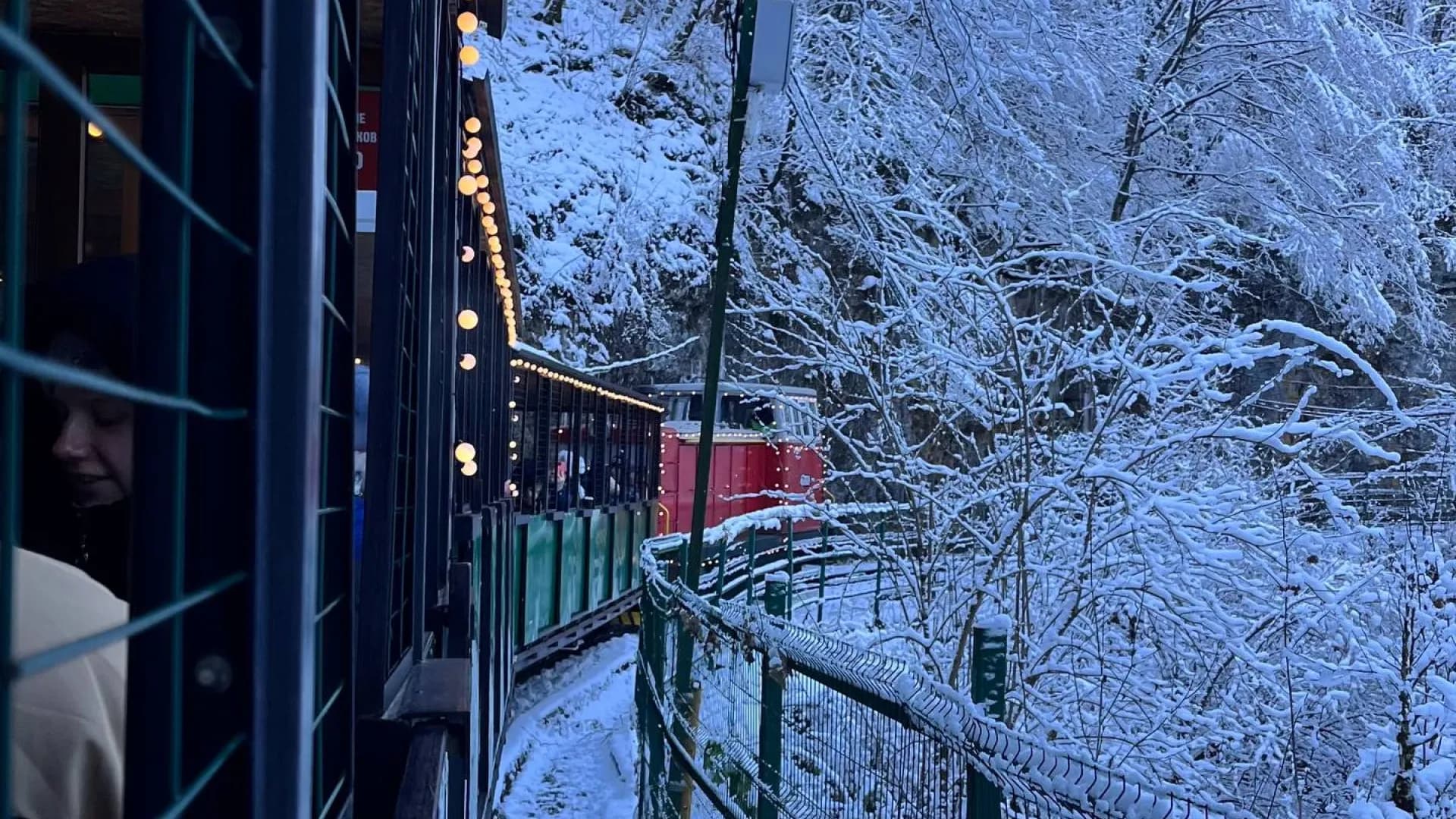 Изображение услуги5