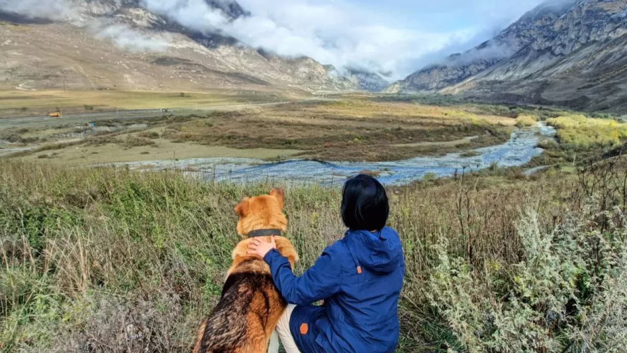 Изображение услуги9