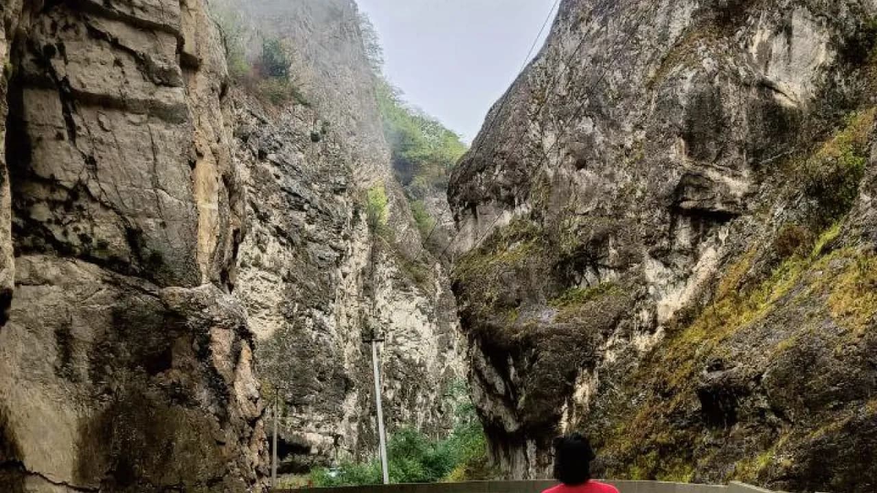 Изображение услуги13