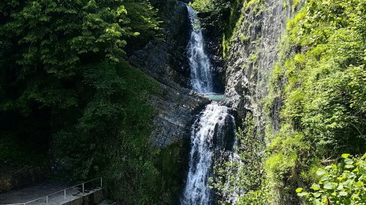 Изображение услуги2