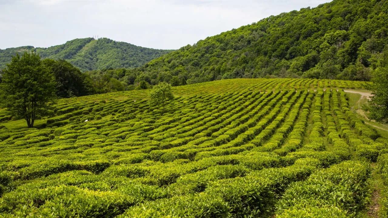 Изображение услуги9