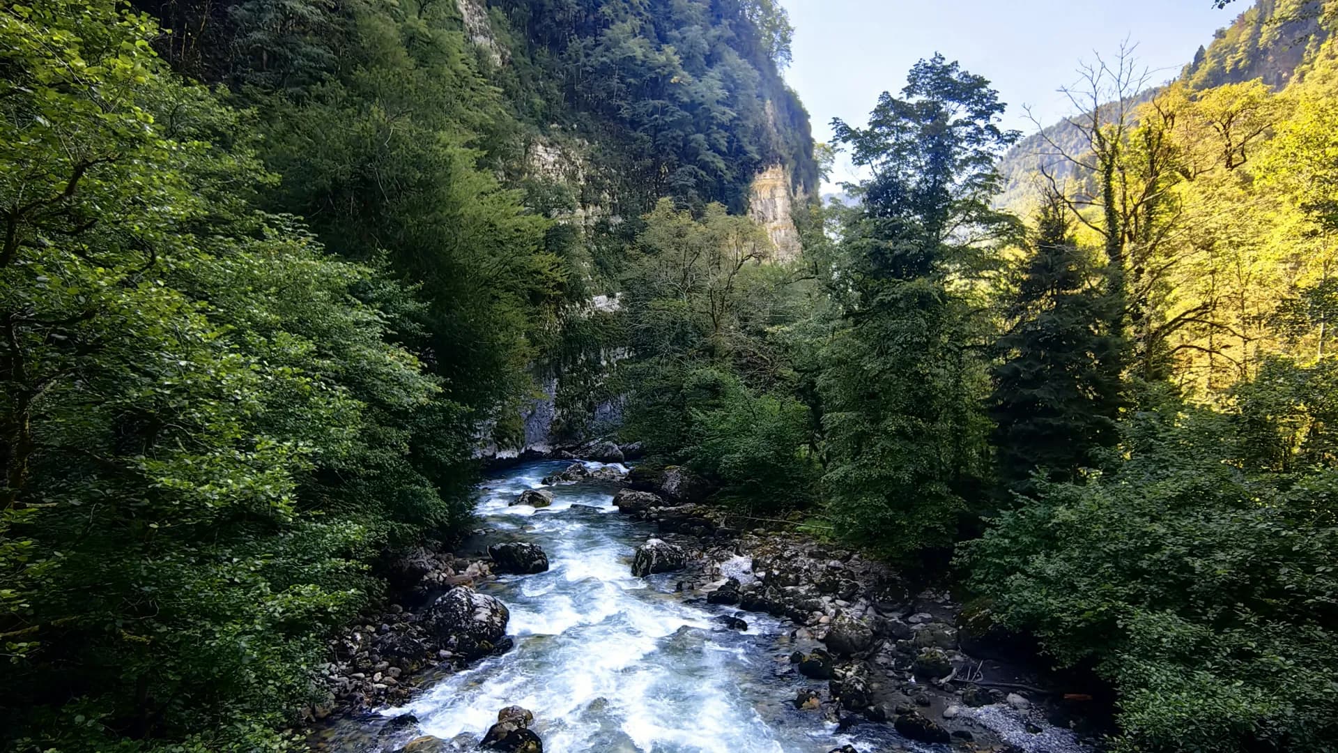 Изображение услуги4