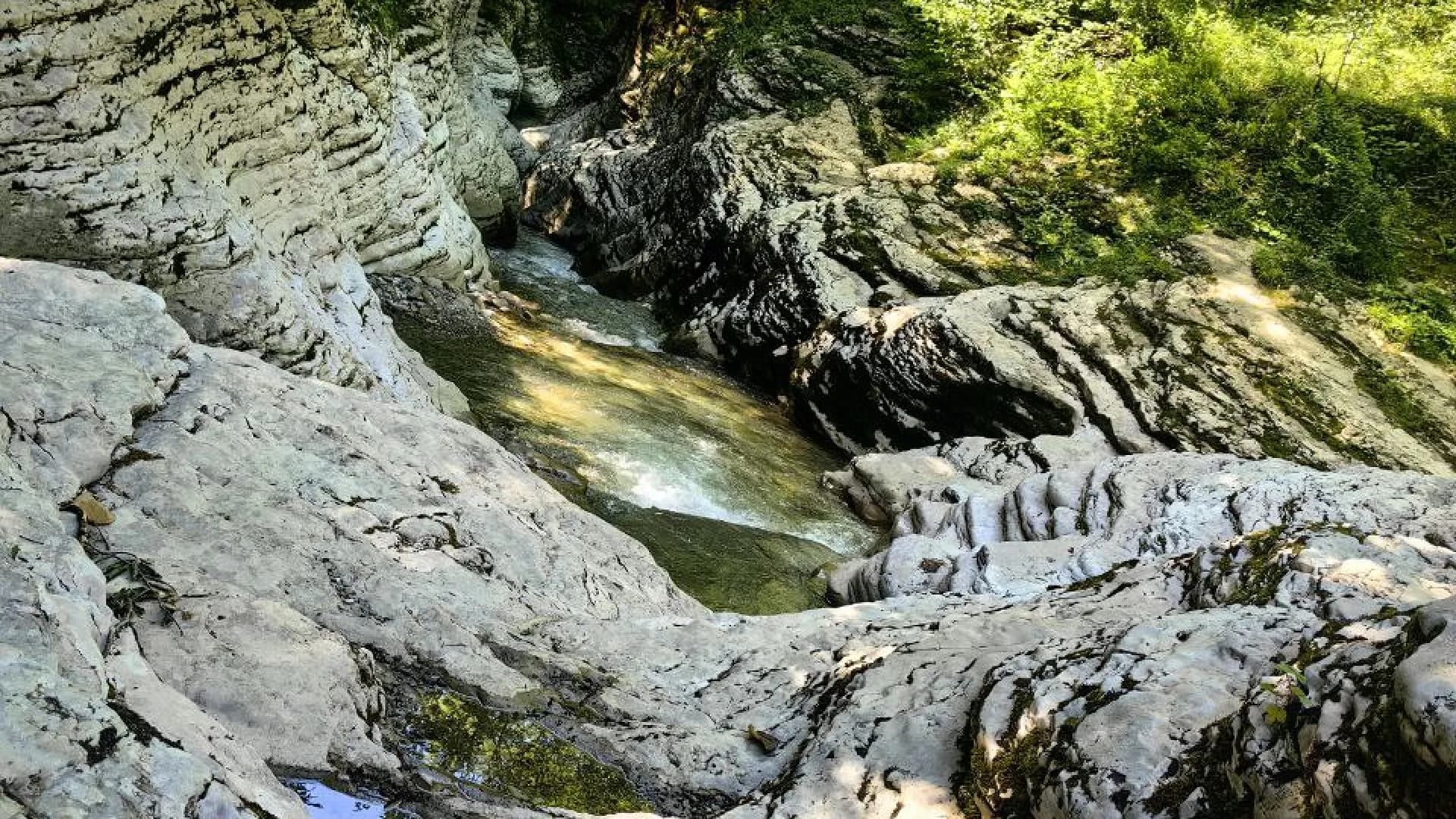 Изображение услуги2