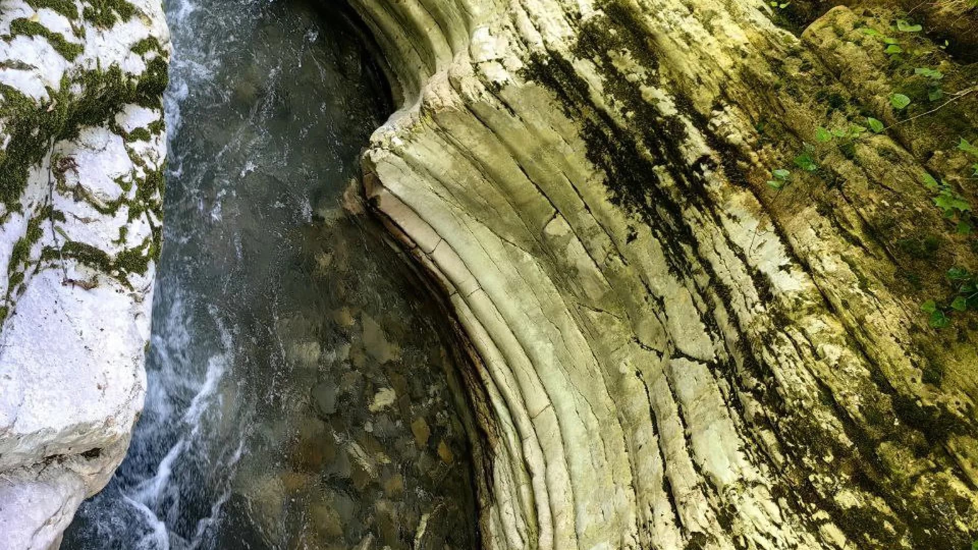 Изображение услуги3