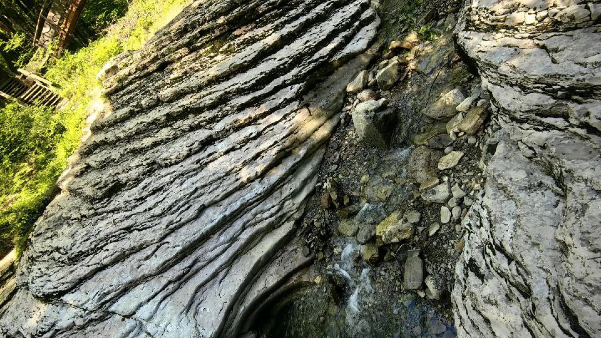 Изображение услуги4