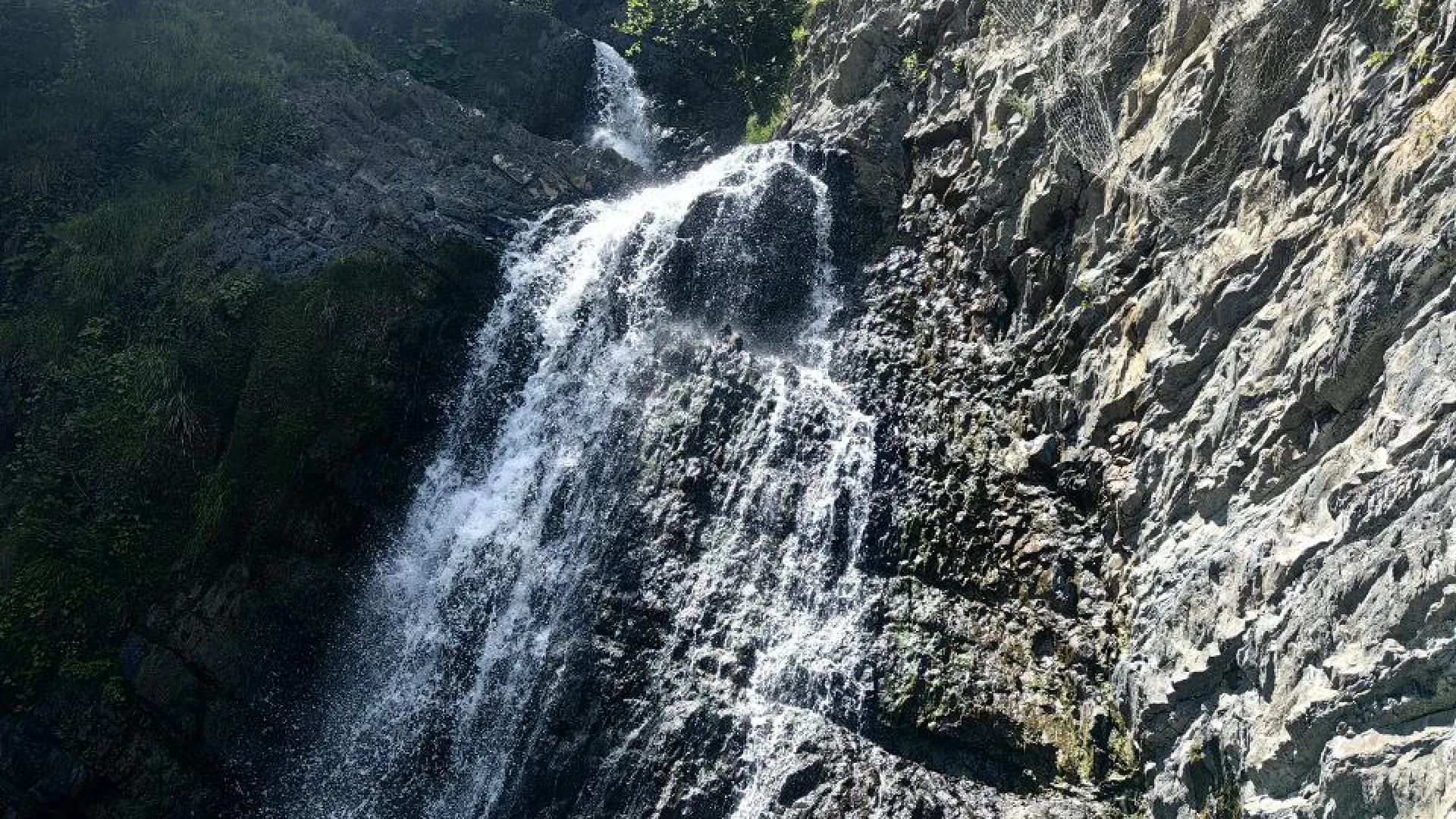 Изображение услуги1