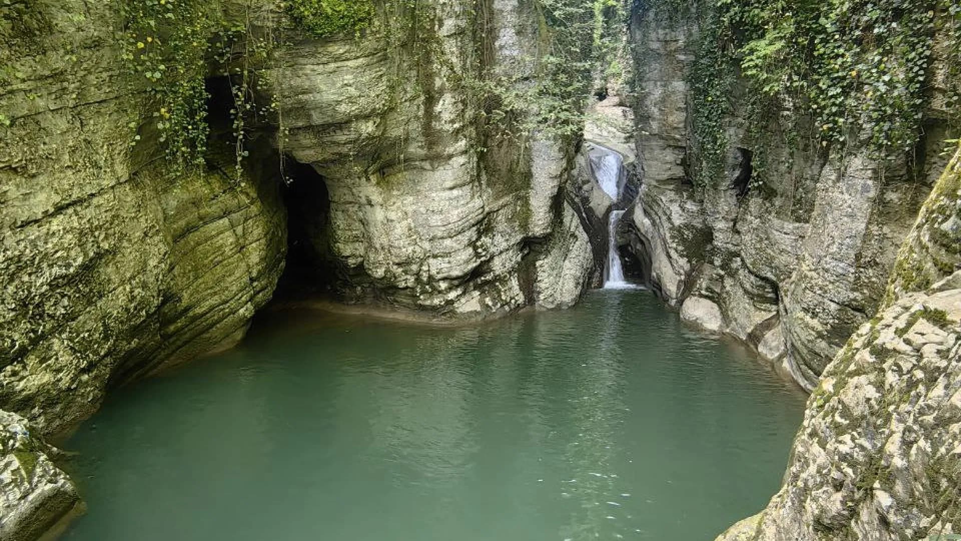 Изображение услуги3