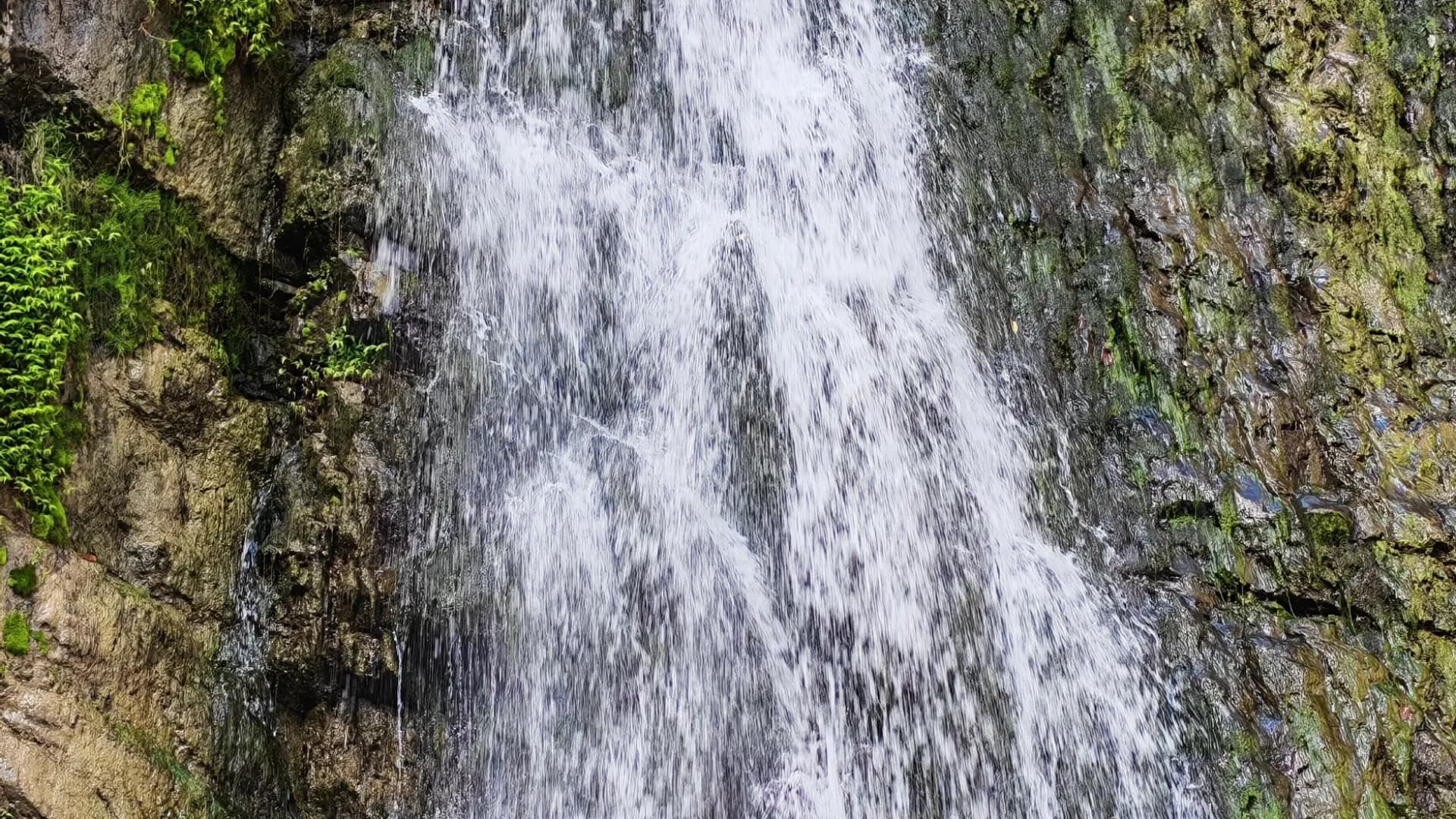 Изображение услуги12