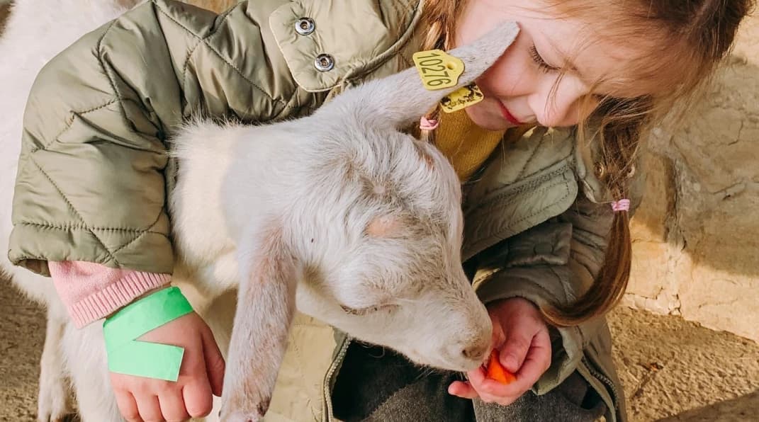 Изображение услуги3