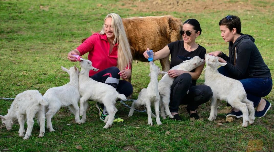 Изображение услуги4