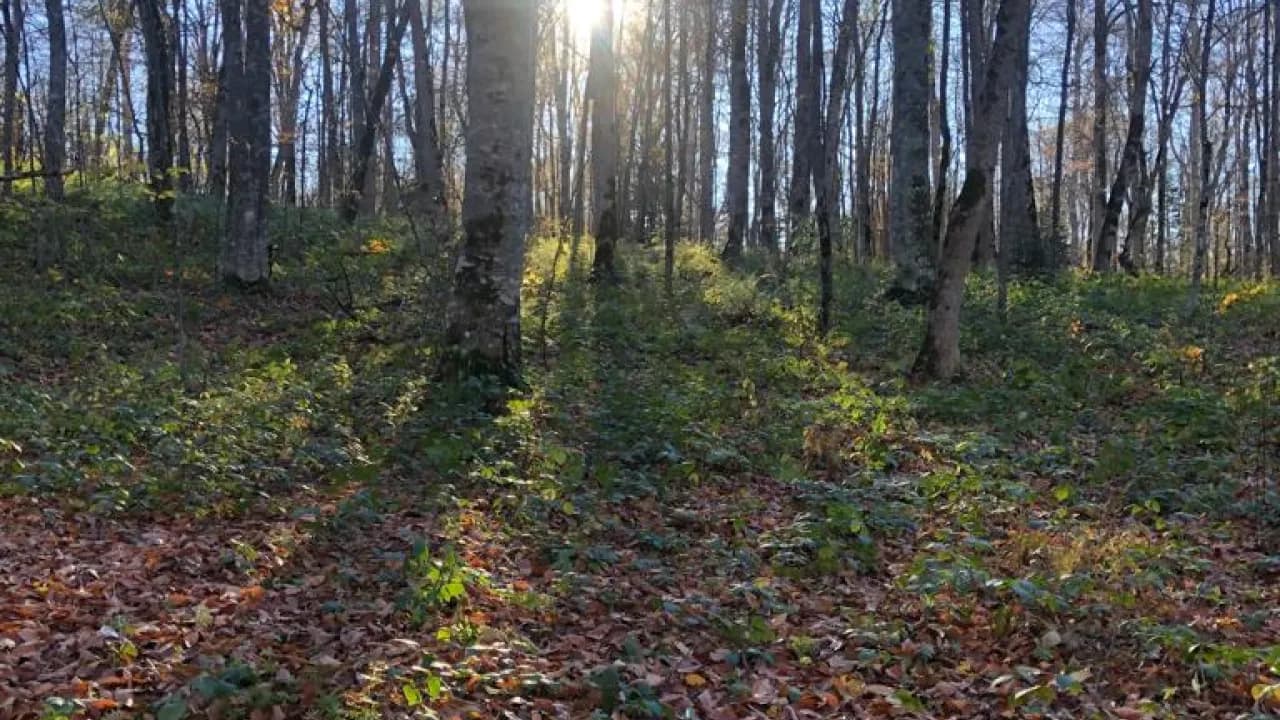 Изображение услуги2