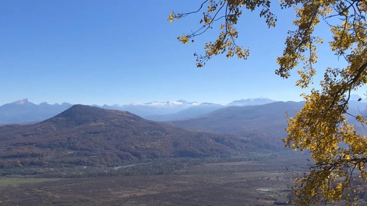 Изображение услуги4