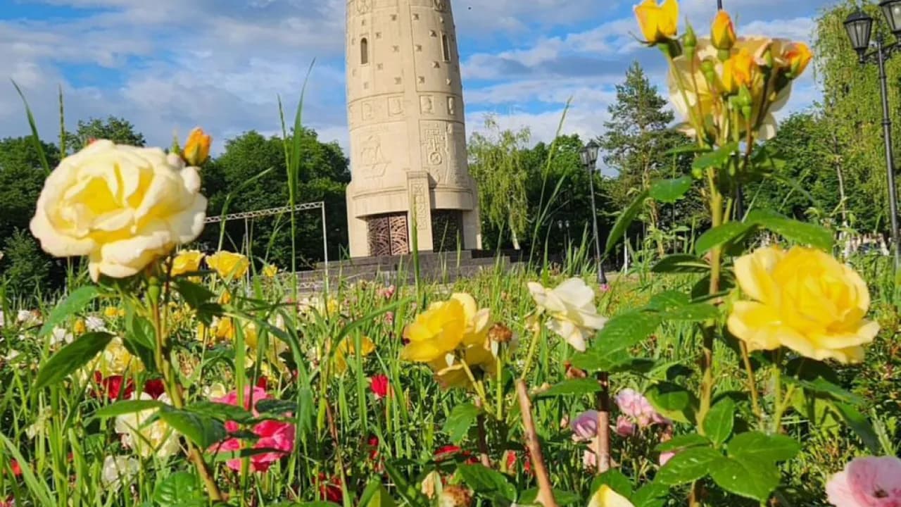 Изображение услуги8