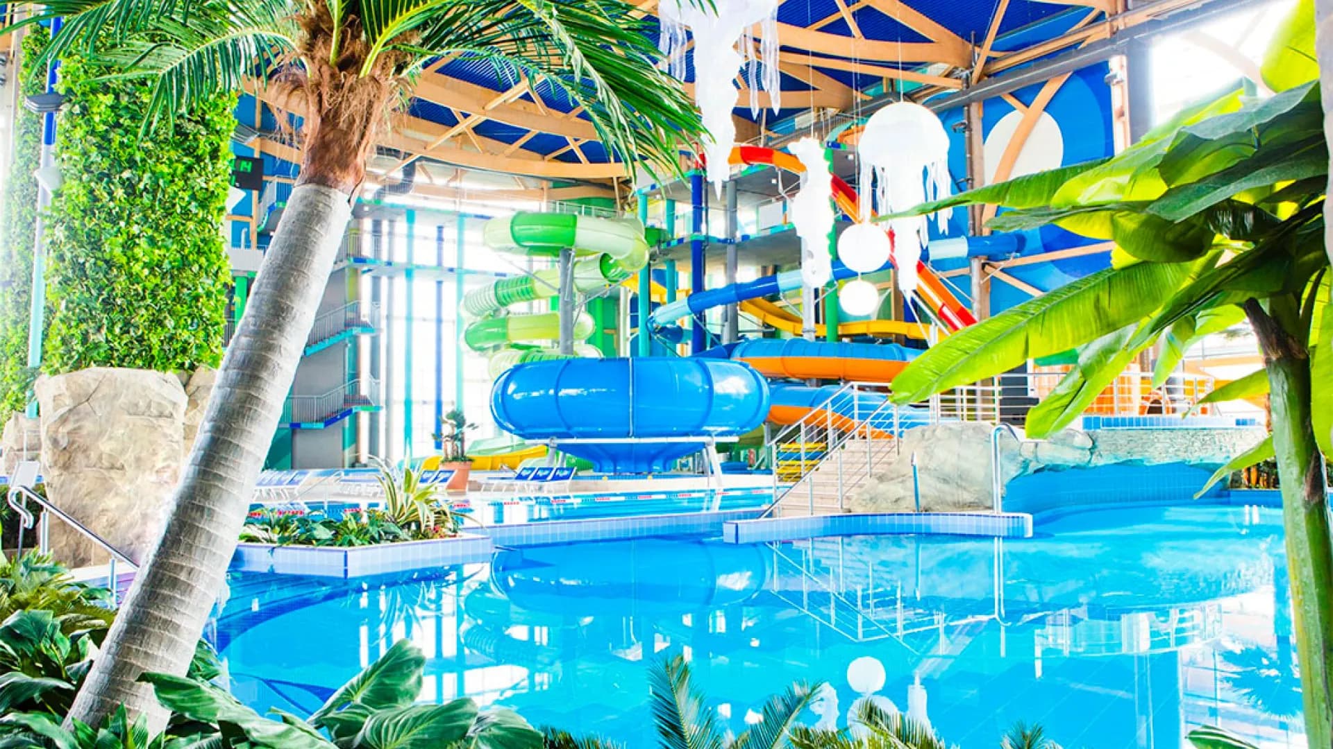 Изображение услуги2