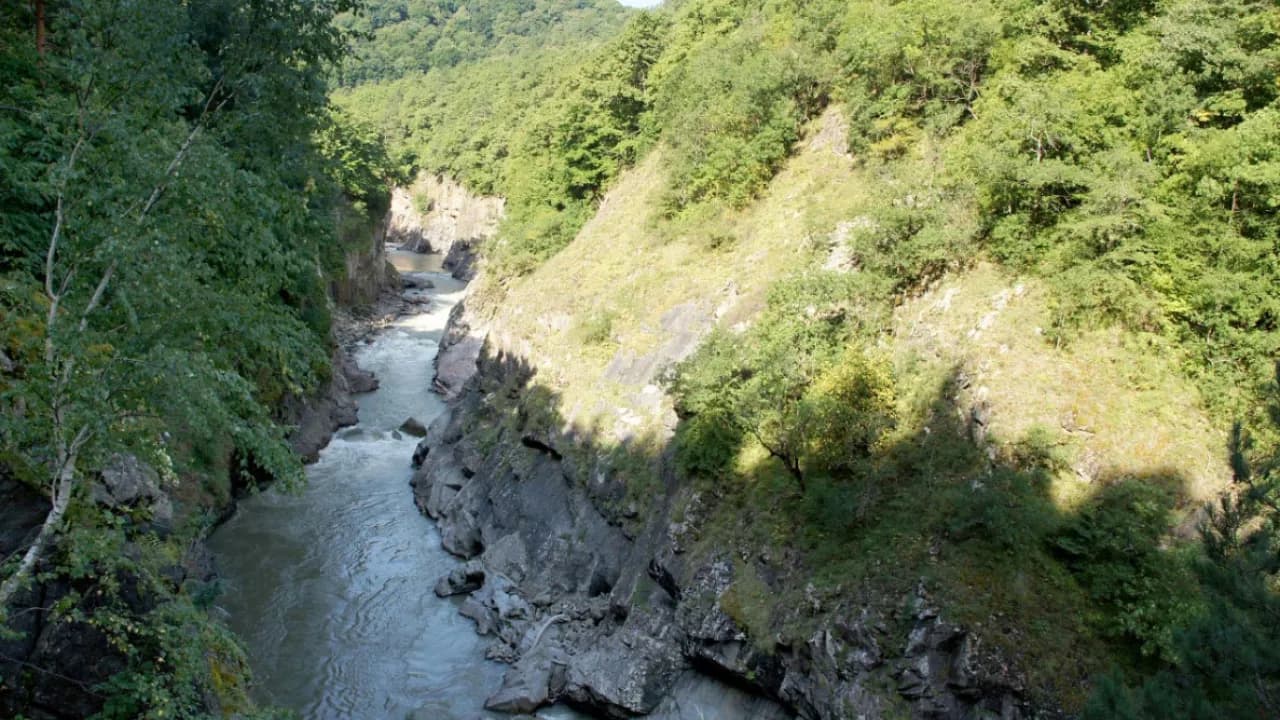 Изображение услуги1