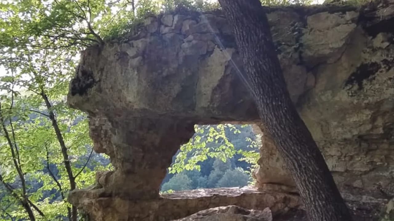 Изображение услуги2