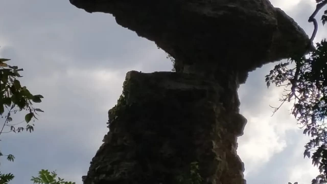 Изображение услуги3