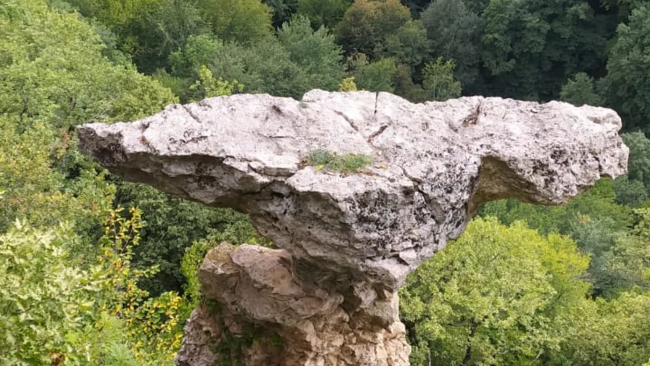 Изображение услуги4