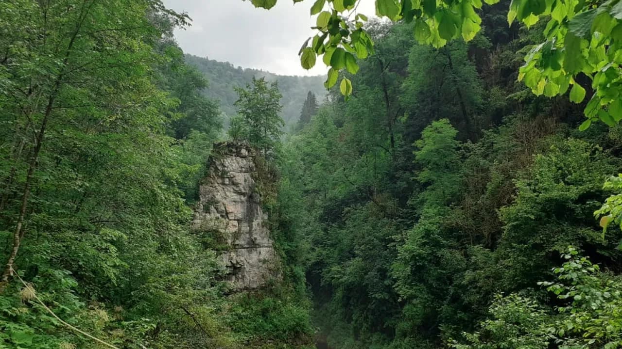 Изображение услуги5