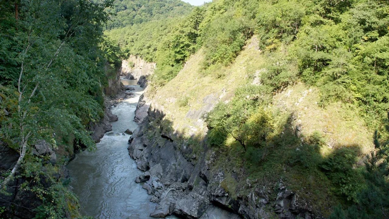 Изображение услуги6