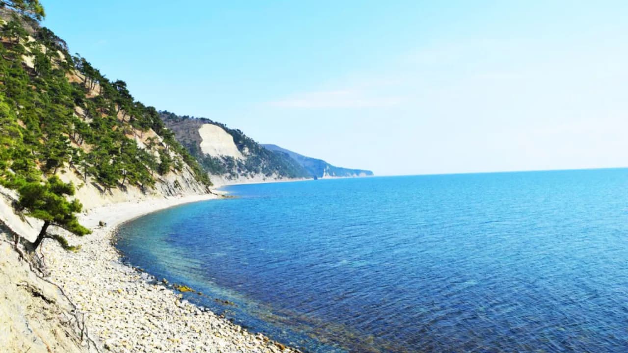 Изображение услуги3