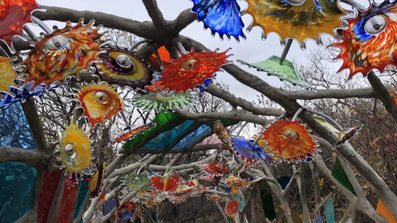 Изображение услуги4