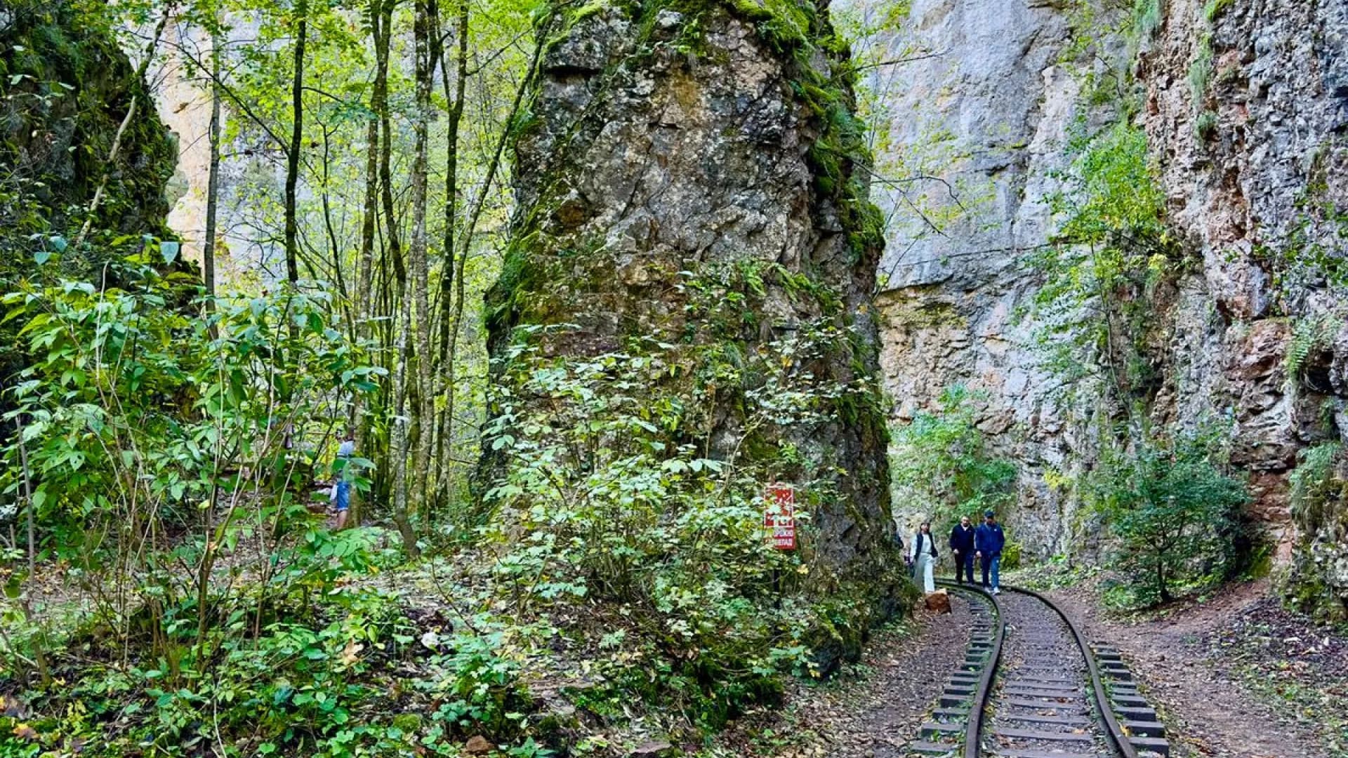 Изображение услуги0