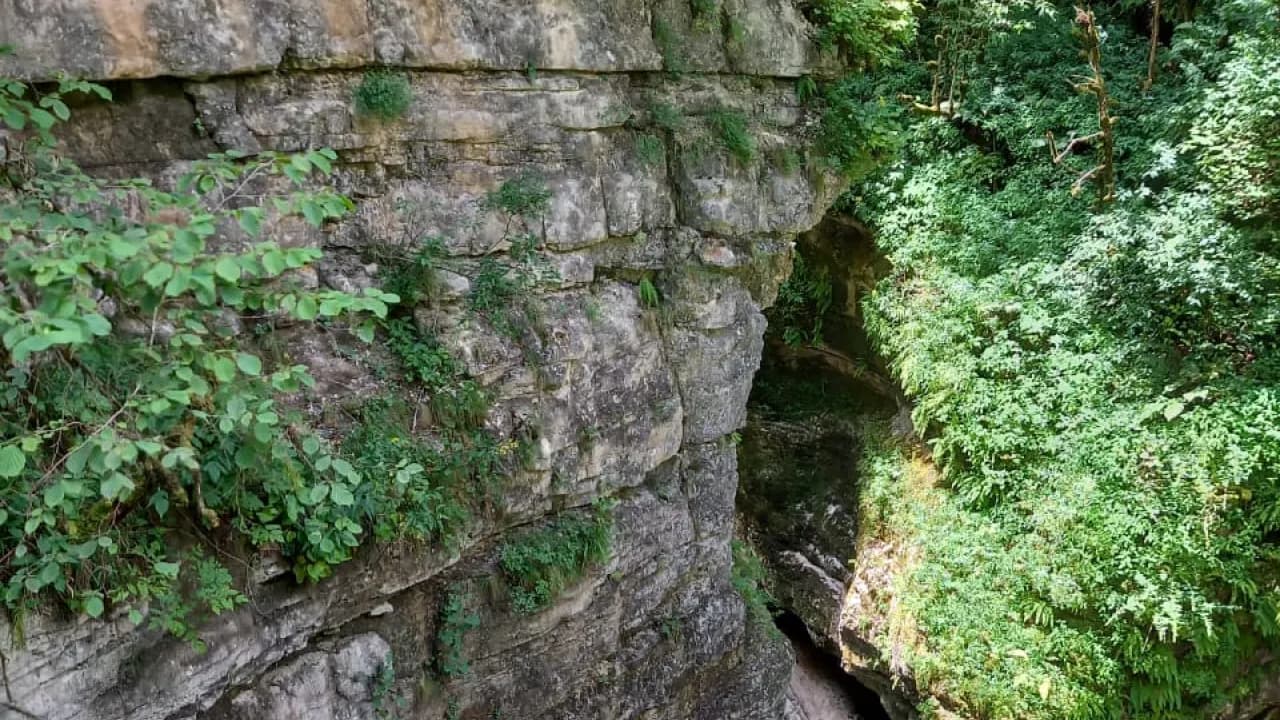 Изображение услуги1