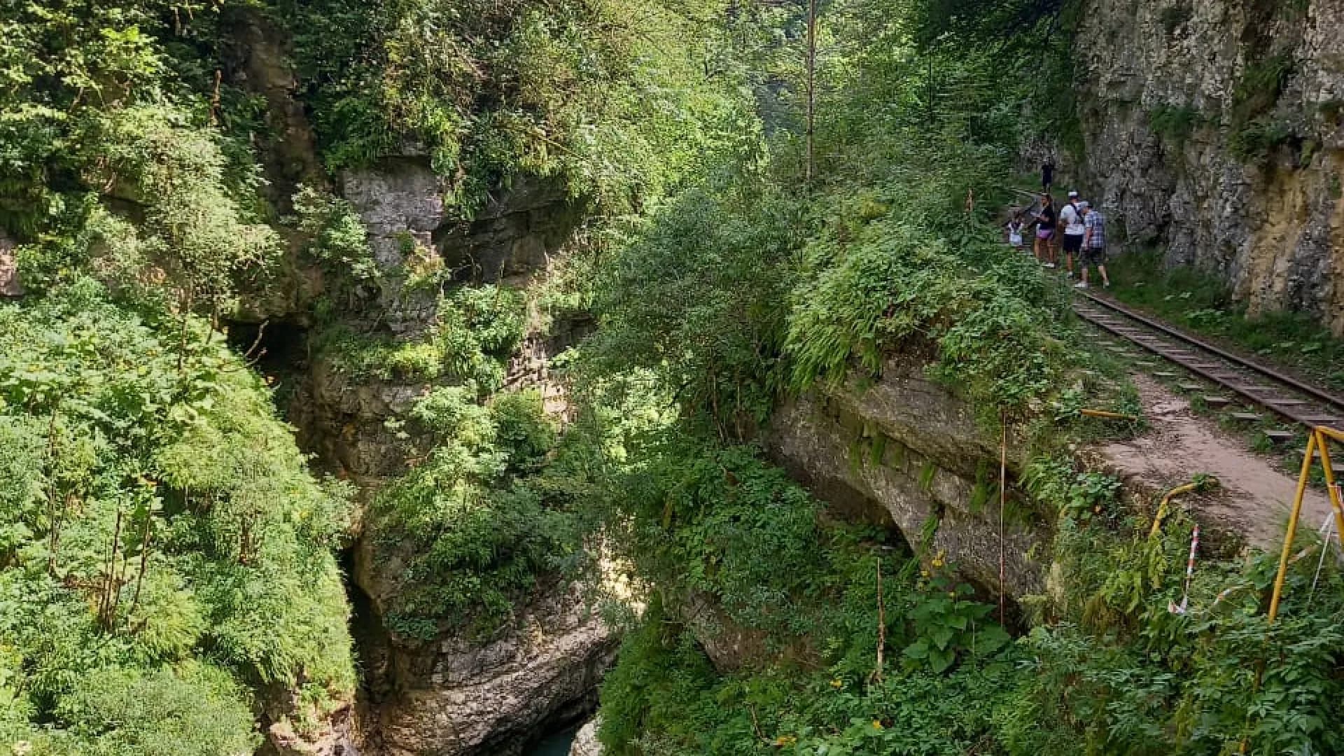 Изображение услуги3