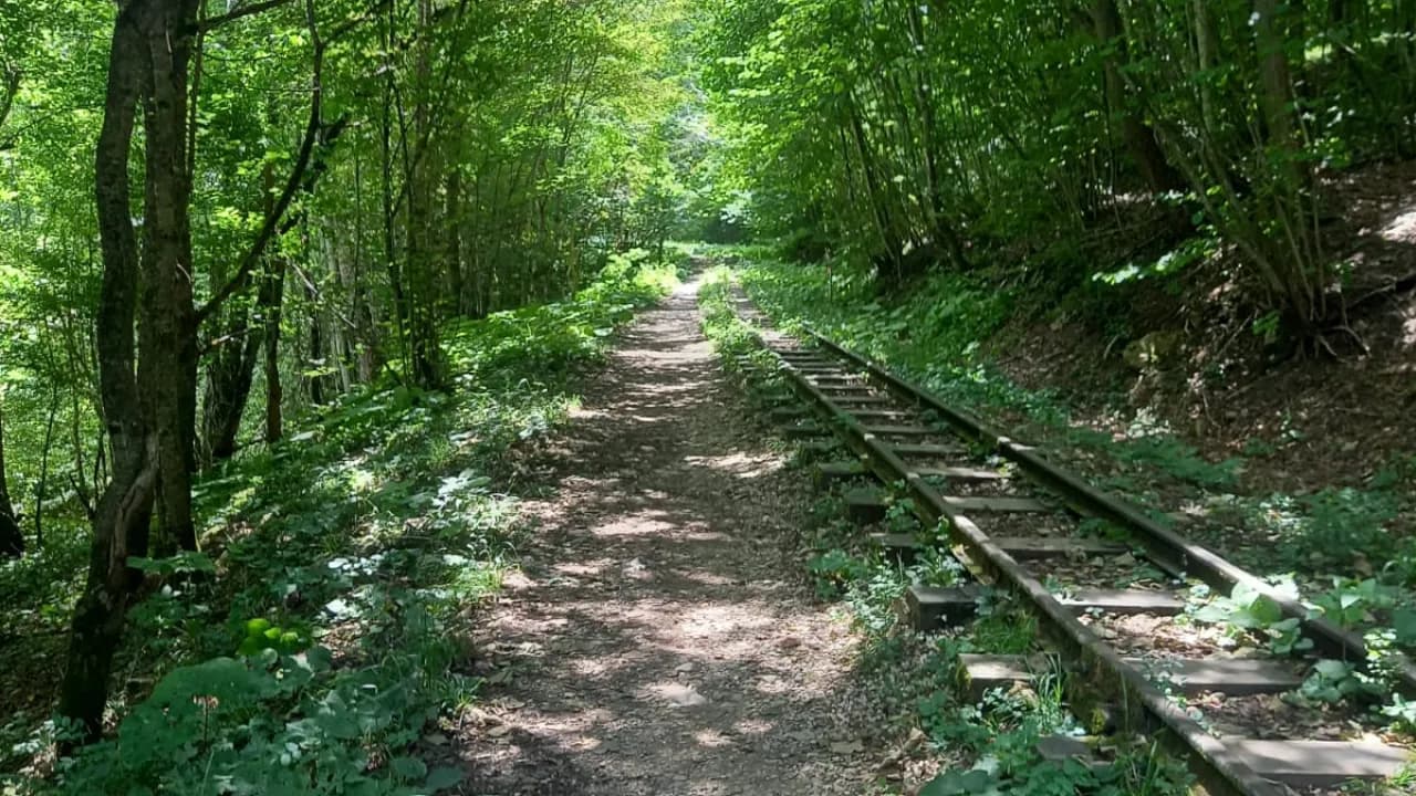 Изображение услуги4