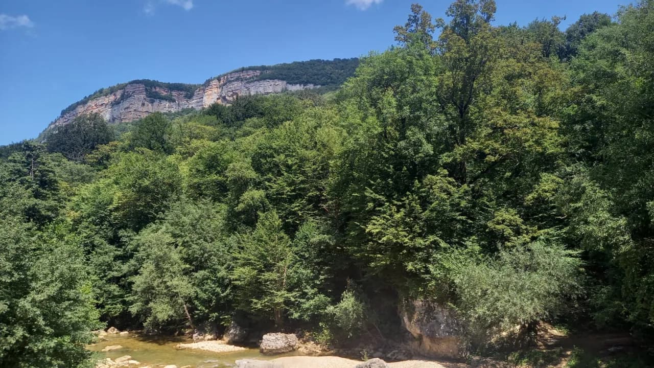 Изображение услуги5