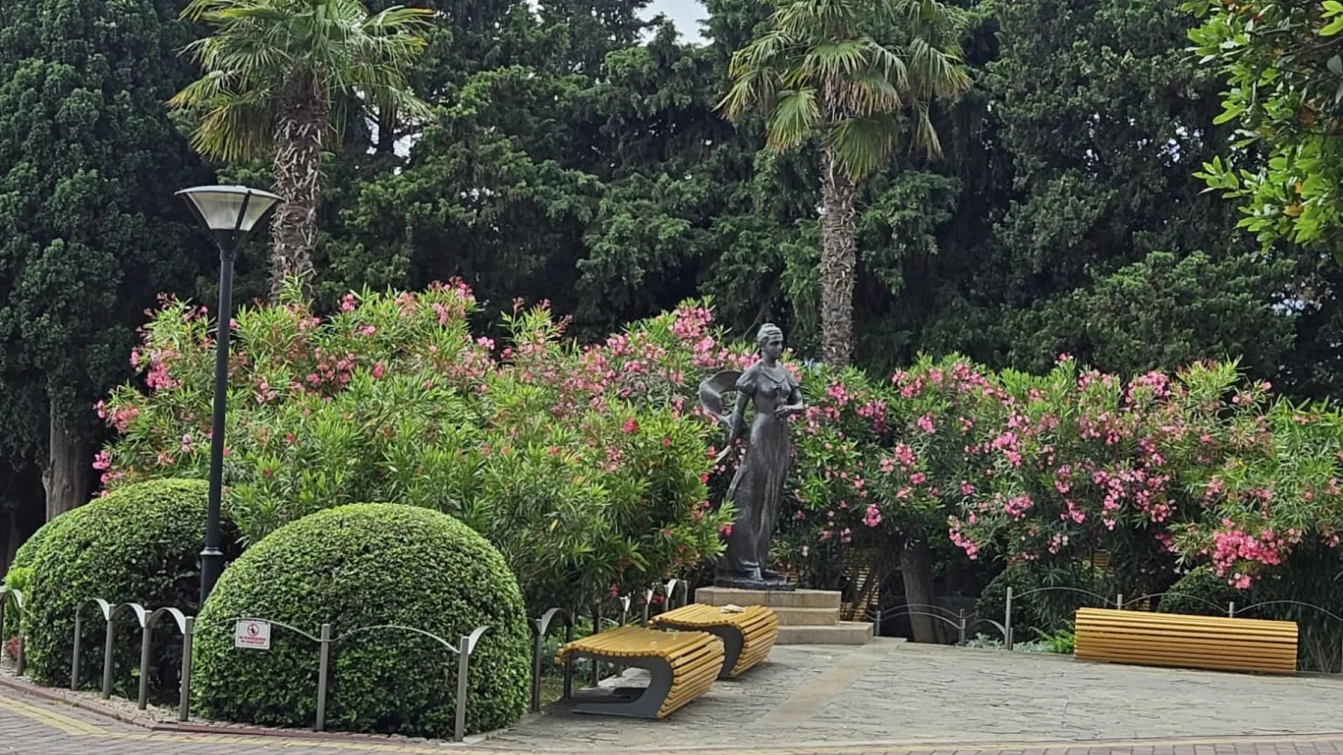 Изображение услуги5